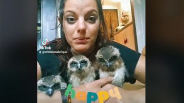 WATCH: Woman Shares Her New Year's...With Baby Owls