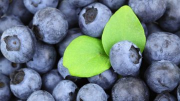 Experts Reveal Blueberries Aren't Actually Blue